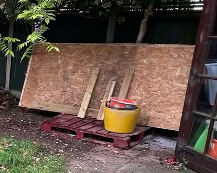 Photo of free OSB / Sterling Board (Rochester) #1