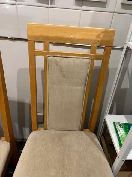 Photo of free Two solid dining chairs (Glasgow city centre G1) #3