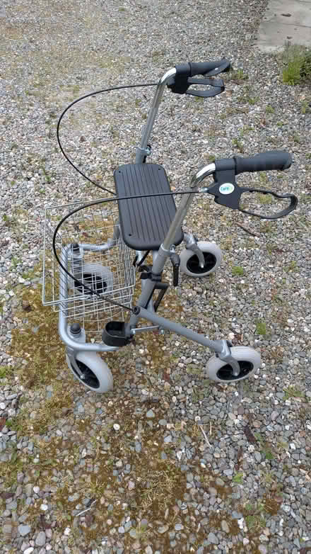 Photo of free Walker (Llanfyllin SY22) #2