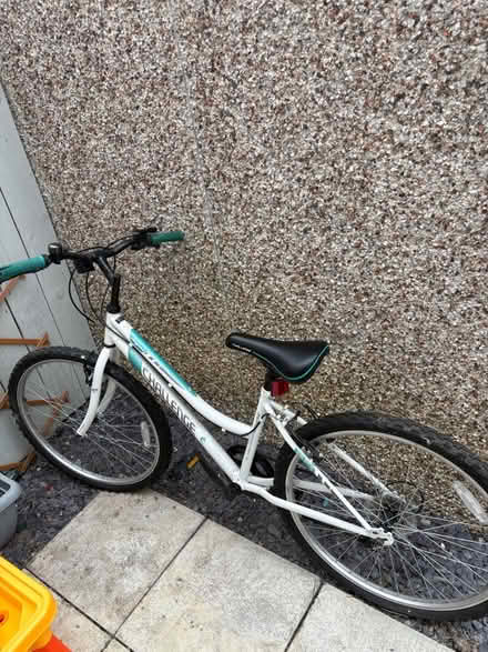 Photo of free Ladies Bike (TS17 9PE Thornaby) #1