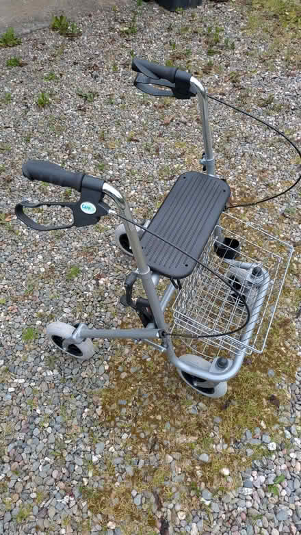 Photo of free Walker (Llanfyllin SY22) #1