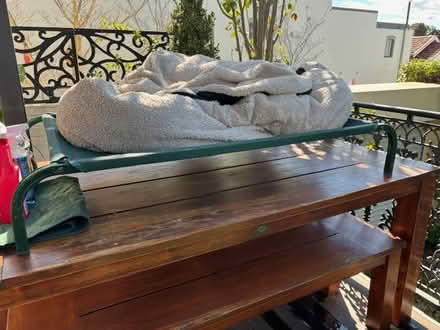 Photo of free Assorted dog items (Sydney inner west) #1