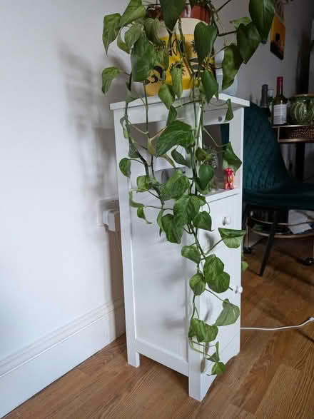 Photo of free Small white shelf/cabinet (Stoke Newington N16) #2