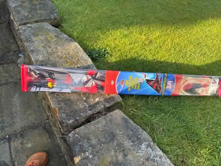 Photo of free Kite (Nether Green S11) #1