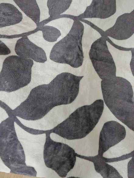 Photo of free Washable rug (Cashes Green GL5) #1