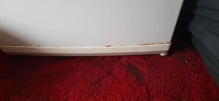 Photo of free Under Counter Freezer (Swindon SN3) #3