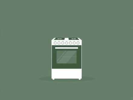 Photo of Electric Cooker (Randlay TF3) #1