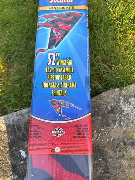 Photo of free Kite (Nether Green S11) #2