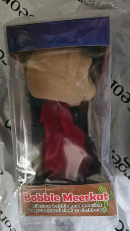 Photo of free Bubble head meerkat (Ramsey Mereside PE26) #2