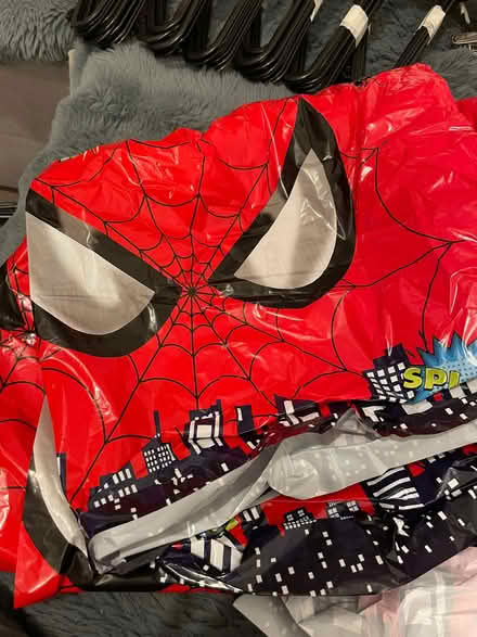Photo of free Spider-Man tablecloth (Wandsworth SW18) #1