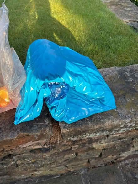 Photo of free Small kids paddling pool (Nether Green S11) #1