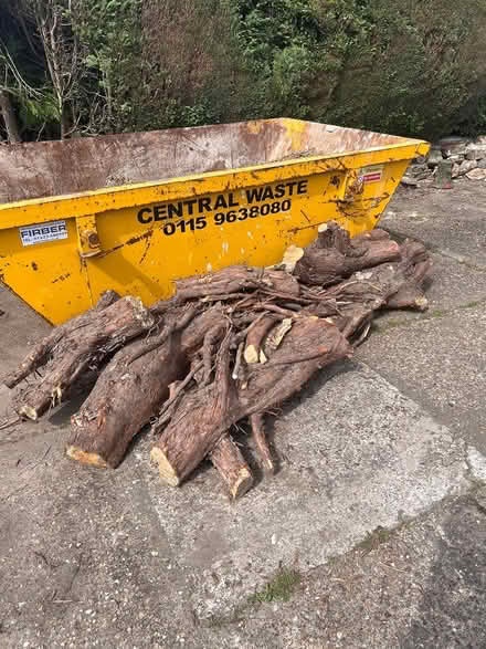 Photo of free Tree stump / root logs (Rise Park, NG5) #2
