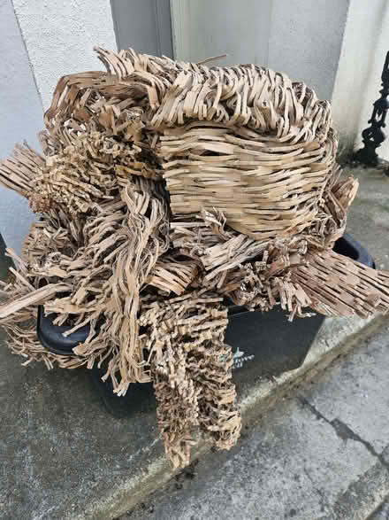 Photo of free Eco shredded carboard packaging material (London Rd Station area BN1) #1