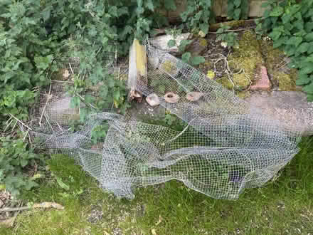 Photo of free Chicken wire needs cutting 7&9ft (BN7) #3