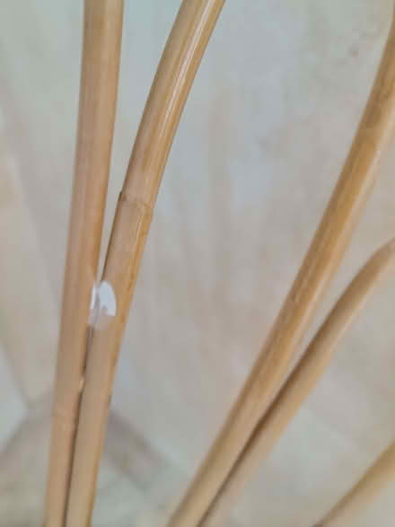 Photo of free Wicker bamboo type chair (Garstang PR3) #2