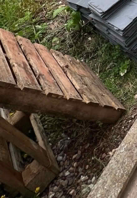 Photo of free Pallets x 5 (Rochester) #1