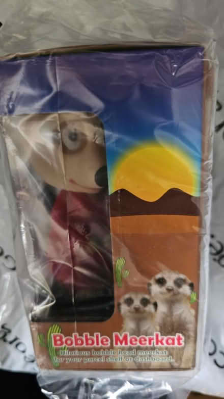 Photo of free Bubble head meerkat (Ramsey Mereside PE26) #1