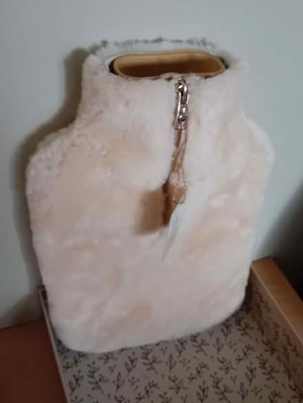 Photo of free Hot water bottle (house of slippers) (Colchester CO2) #1