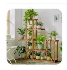 Photo of free Multi Tier Wood Flower Rack Plant Stand Shelves Display (Upper Wolvercote OX2) #1