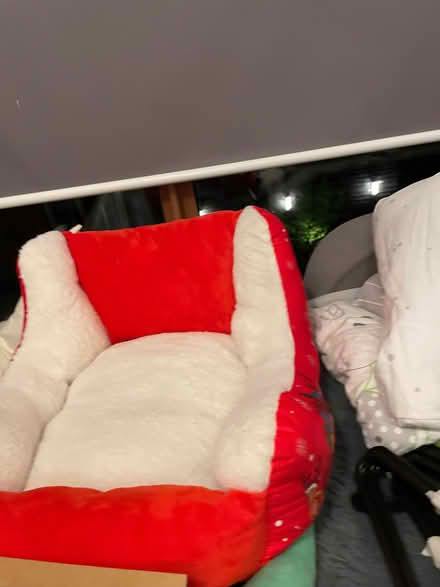 Photo of free Dog/cat slaugh bed (Wandsworth SW18) #1