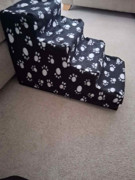 Photo of free Pet stairs (Dunfermline KY11) #2