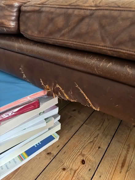 Photo of free Vintage Danish leather sofa (Hove Station area BN3) #3
