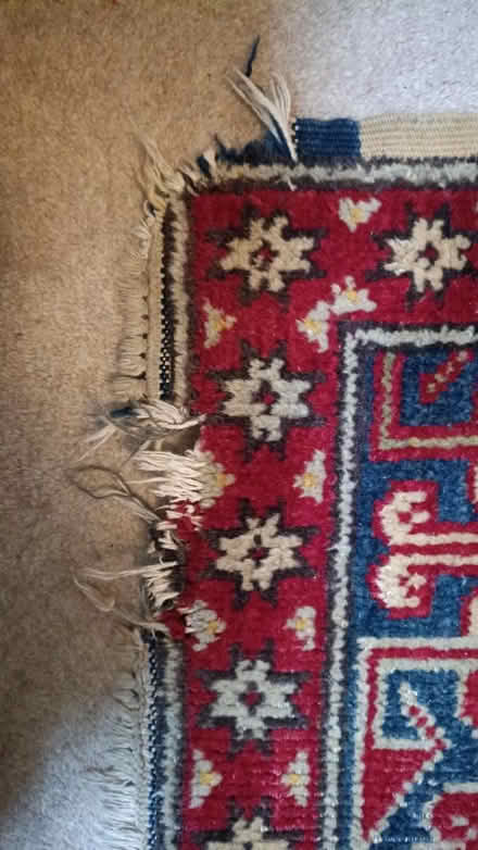 Photo of free Large Rug (S2 Heeley) #2