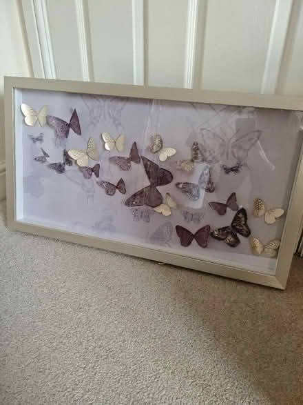 Photo of free purple 3d butterfly picture (Cottam PR4) #1