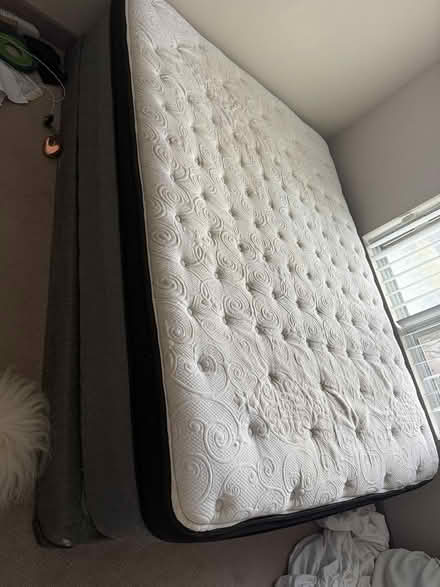 Photo of free Sealy Queen Mattress + box spring (University and On 8) #2