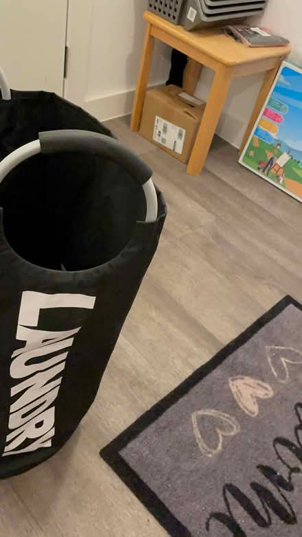 Photo of free Laundry bag (Wandsworth SW18) #1