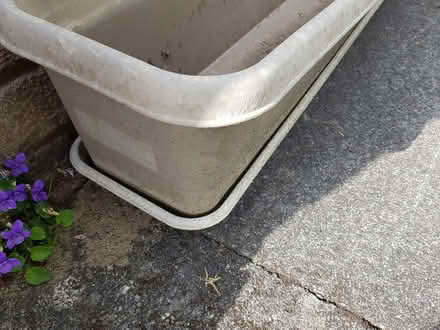 Photo of free Long window boxes with trays (Kendal LA9) #2