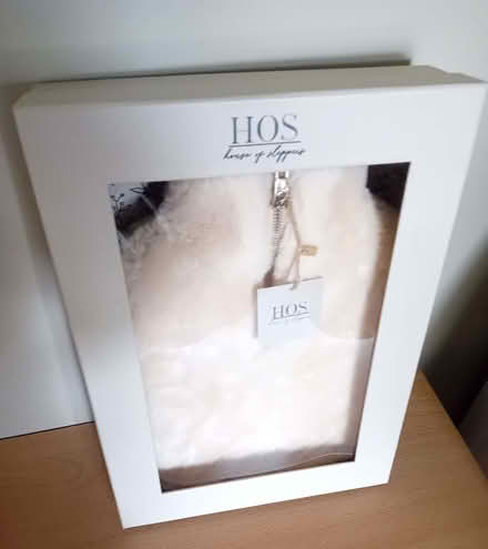 Photo of free Hot water bottle (house of slippers) (Colchester CO2) #2
