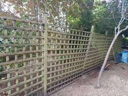 Photo of free 5 Wooden fence panels (Bovey Tracey TQ13) #1