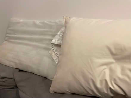 Photo of free Pillows x2 (Wandsworth SW18) #1