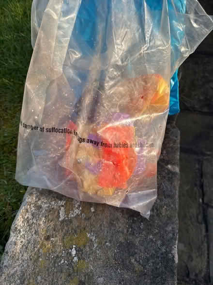 Photo of free Small kids paddling pool (Nether Green S11) #2