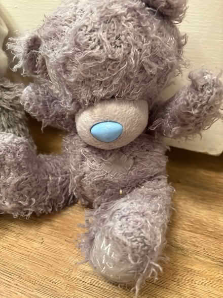 Photo of free Me to you tatty teddy bears (Central Lancaster LA1) #2