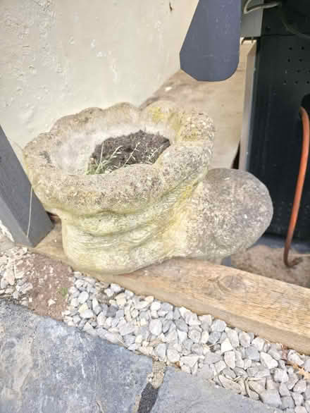 Photo of free Garden boot planter (DE21) #1