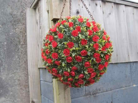 Photo of free Flower ball (Plymouth Crownhill PL6) #1