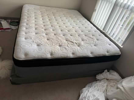 Photo of free Sealy Queen Mattress + box spring (University and On 8) #3
