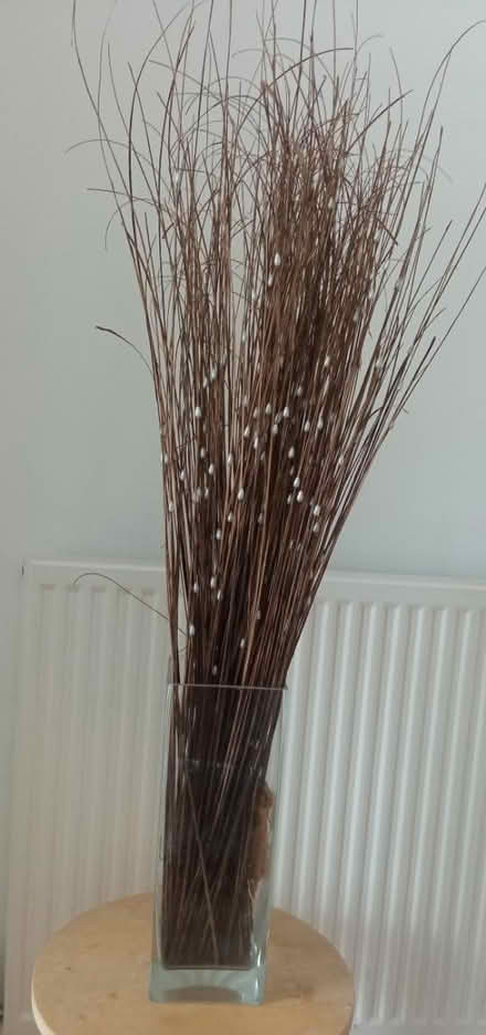 Photo of free Glass container with dried stems (east twickenham) #1