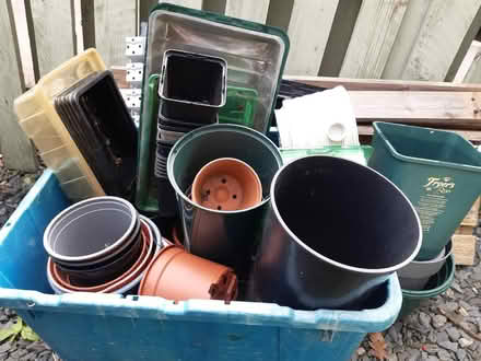 Photo of free Plant pots, trays etc (Woodseats S8) #2