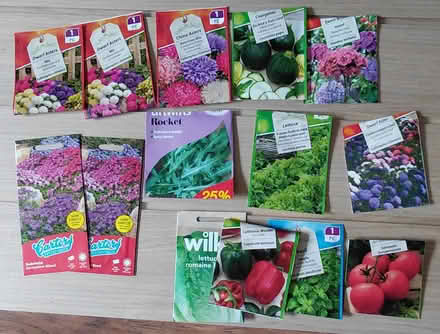 Photo of free Seeds (Sheffield S12) #1