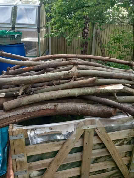 Photo of free Wood for burning or crafting (de5 denby) #3