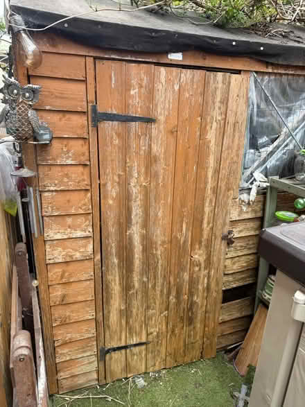 Photo of free Tall wood shed (Hackney E8) #3