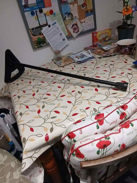 Photo of free Walking Stick With Seat (Belmont SL6) #1