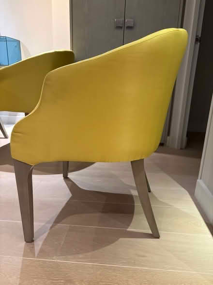 Photo of free Yellow dining chairs (Bermondsey SE1) #3