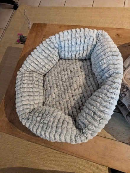 Photo of free 2 cat beds and small cat carrier (Harmans water, Bracknell, RG12) #1