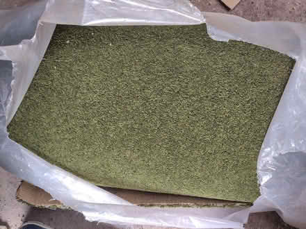 Photo of free Unused Carpet (Saint Marychurch TQ1) #3