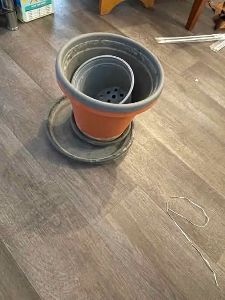 Photo of free Empty plant pots n trays (Wandsworth SW18) #1