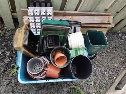 Photo of free Plant pots, trays etc (Woodseats S8) #1